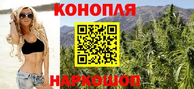 PSILOCYBIN Гатчина