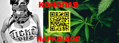 PSILOCYBIN Гатчина