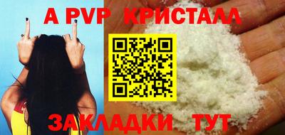 PSILOCYBIN Гатчина