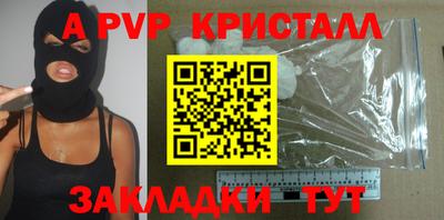 PSILOCYBIN Гатчина