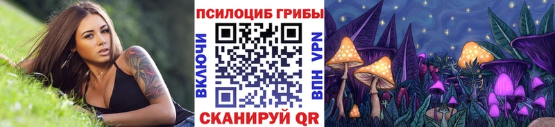 дарк нет телеграм  OMG сайт  Братск  Галлюциногенные грибы Magic Shrooms 