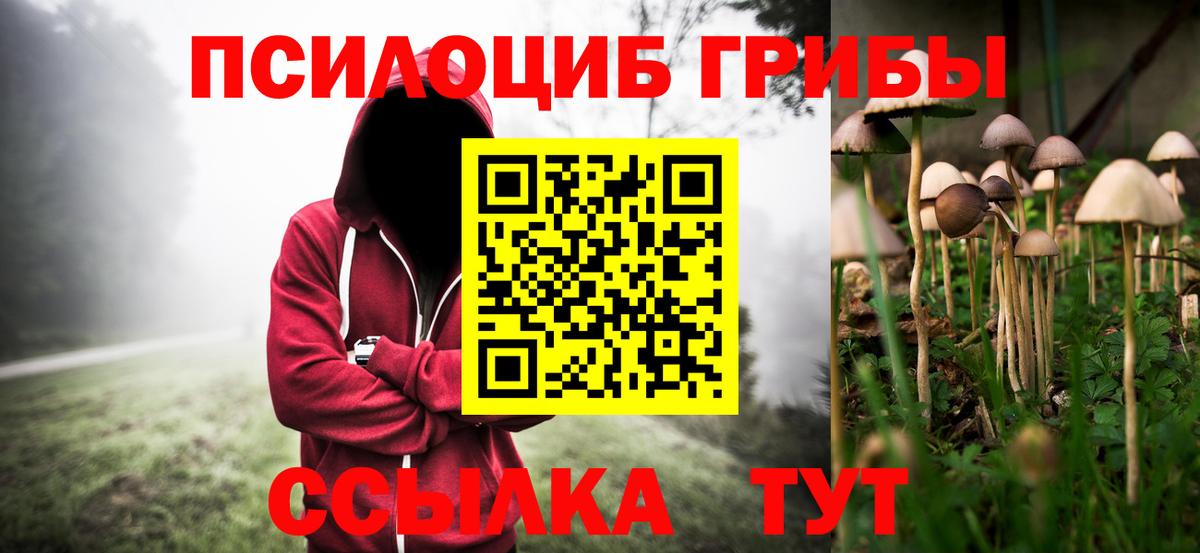 Псилоцибиновые грибы Magic Shrooms Братск