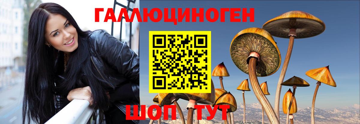 Галлюциногенные грибы прущие грибы  Братск  Галлюциногенные грибы Psilocybe 
